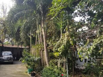 Đất lớn có nhà nát hẻm đường 1A, Phường Long Thạnh Mỹ 1220m2