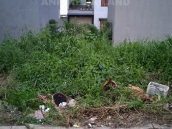 BÁN ĐẤT KDC HTREAL - HẺM 4M - ĐƯỜNG NGÔ CHÍ QUỐC - P. BÌNH CHIỂU - 51.1M2