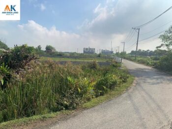 BÁN ĐẤT TRỒNG CÂY LÂU NĂM  - ĐƯỜNG SỐ 8 - P. LONG PHƯỚC - 1883M2