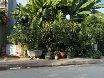BÁN LÔ ĐẤT ĐƯỜNG LỚN - ĐƯỜNG 10M - P. LONG THẠNH MỸ - 142.2M2 