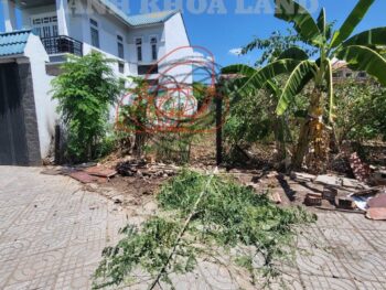 CHỦ KẸT CẦN BÁN NHANH LÔ ĐẤT KDC PHƯỚC THIỆN - ĐƯỜNG PHƯỚC THIỆN - P. LONG BÌNH - 140M2