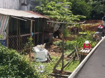 CẦN NHANH ĐẤT PHÍA SAU UBND PHƯỜNG PHÚ HỮU - ĐƯỜNG NGUYỄN DUY TRINH - P. PHÚ HỮU - 112M2
