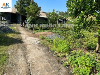 BÁN ĐẤT VƯỜN ÍT THỔ HẺM XE HƠI ĐƯỜNG CÂY KEO - P. TAM PHÚ – 6524M2
