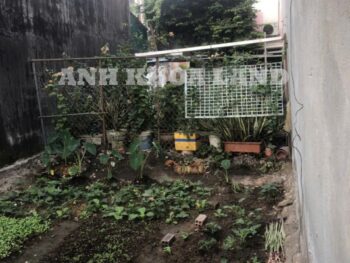 BÁN GẤP ĐẤT LÔ GÓC - ĐƯỜNG SỐ 36 VÀ ĐƯỜNG 54 - P. PHÚ HỮU - 70.4 M2