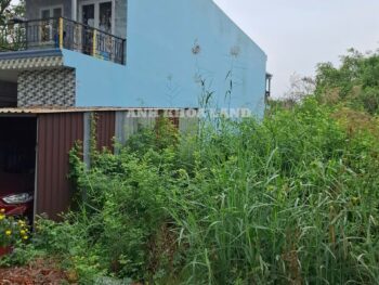 BÁN LÔ ĐẤT LIỀN KỀ SÔNG TẮC ĐƯỜNG TAM ĐA - P. TRƯỜNG THẠNH - 110M2