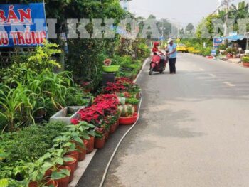 BÁN GẤP ĐẤT MẶT TIỀN - ĐƯỜNG CẦU XÂY 2 - P. TÂN PHÚ - 134.8M2