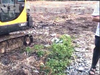 BÁN GẤP LÔ ĐẤT TRỒNG CÂY LÂU NĂM HẺM XE HƠI - ĐƯỜNG NGUYỄN DUY TRINH - P LONG TRƯỜNG – 14.321M2