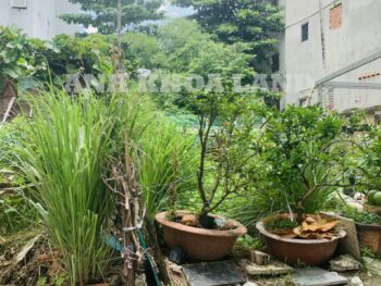 BÁN LÔ ĐẤT HẺM XE HƠI - ĐƯỜNG 8 - P. LINH TRUNG - 61.7M2