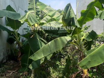 BÁN GẤP LÔ ĐẤT HẺM Ô TÔ - ĐƯỜNG VÕ VĂN HÁT- LONG TRƯỜNG – 77.1M2
